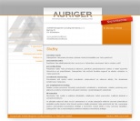 AURIGER Management Consulting International
